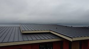 Best Rubber Roofing (EPDM, TPO)  in Nolanville, TX